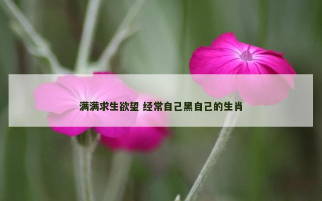 满满求生欲望 经常自己黑自己的生肖