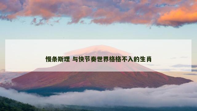 慢条斯理 与快节奏世界格格不入的生肖