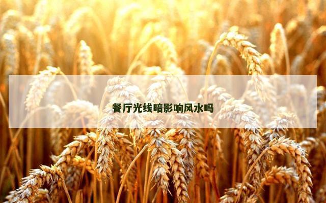 餐厅光线暗影响风水吗