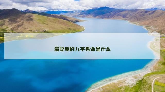 最聪明的八字男命是什么