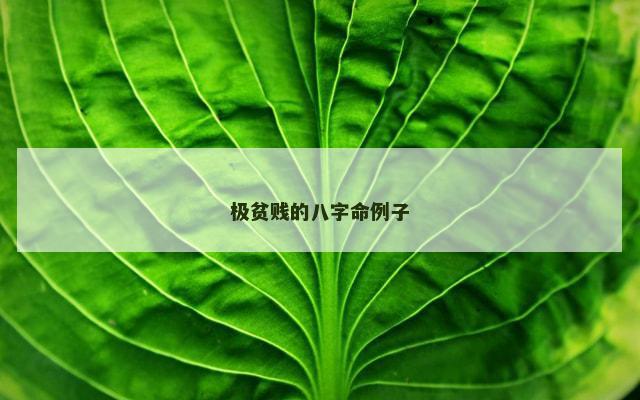 极贫贱的八字命例子