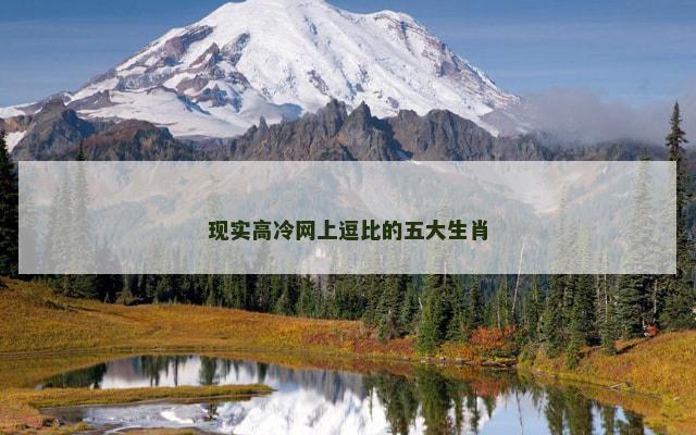 现实高冷网上逗比的五大生肖