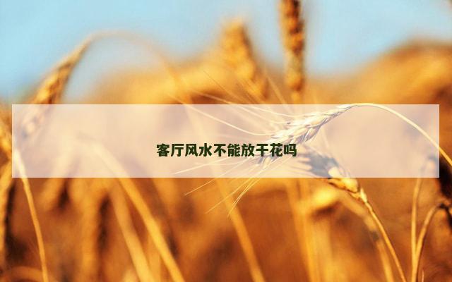 客厅风水不能放干花吗