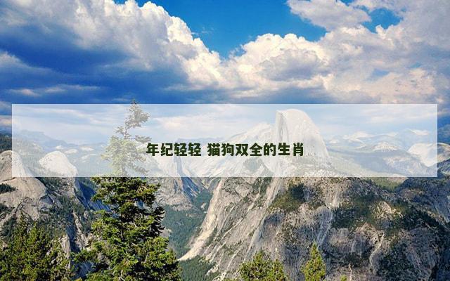 年纪轻轻 猫狗双全的生肖 年纪轻轻 猫狗双全的生肖