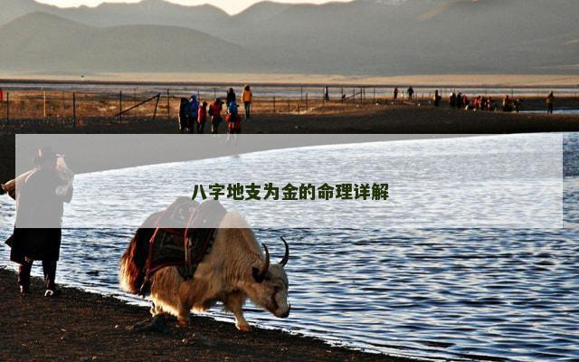 八字地支为金的命理详解