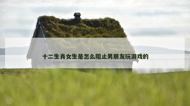 十二生肖女生是怎么阻止男朋友玩游戏的