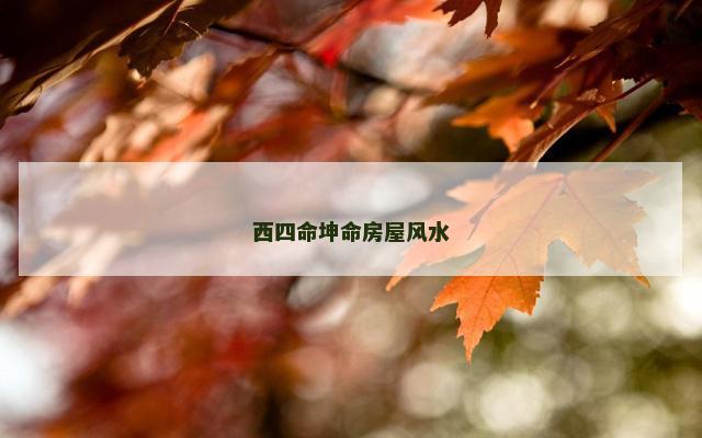 西四命坤命房屋风水