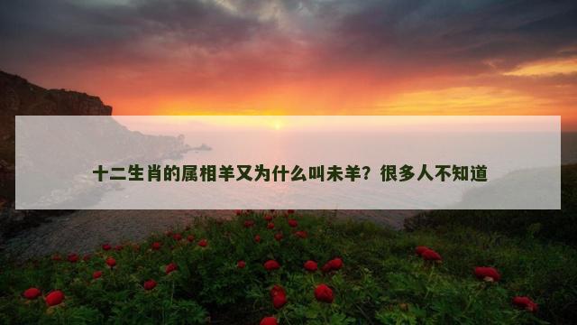 十二生肖的属相羊又为什么叫未羊？很多人不知道