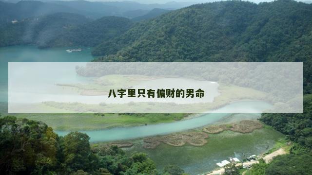 八字里只有偏财的男命