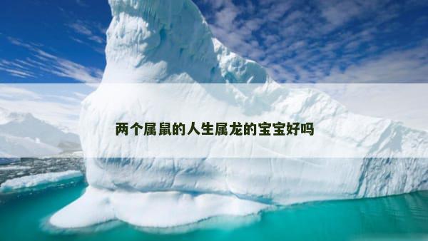 两个属鼠的人生属龙的宝宝好吗
