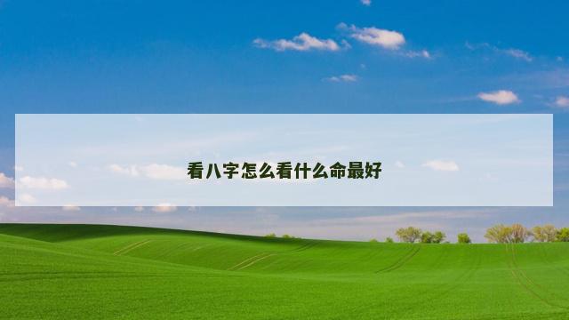 看八字怎么看什么命最好