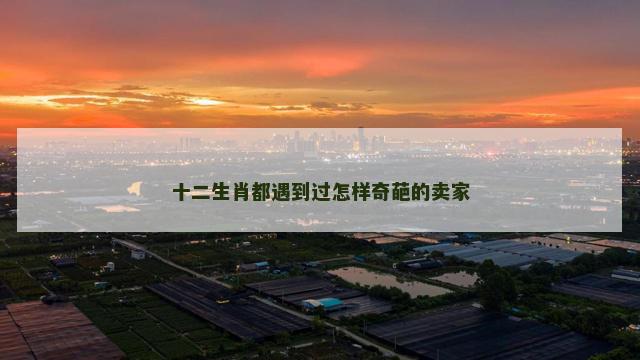 十二生肖都遇到过怎样奇葩的卖家