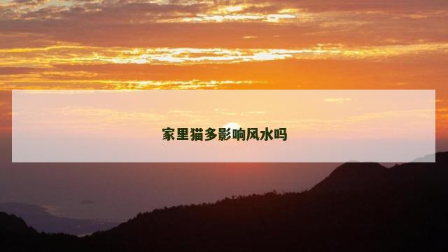 家里猫多影响风水吗