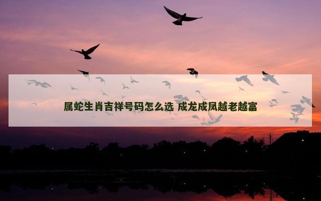 属蛇生肖吉祥号码怎么选 成龙成凤越老越富