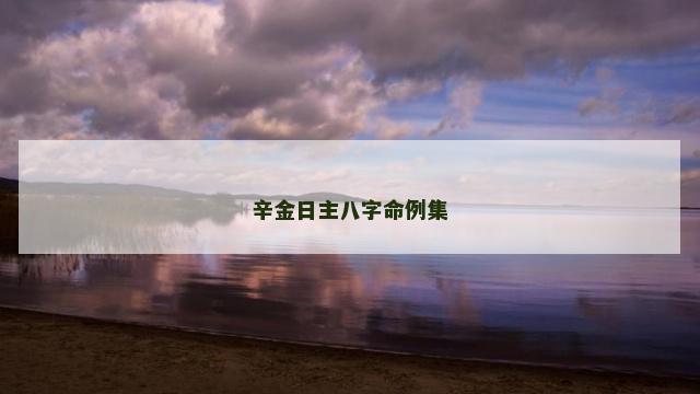 辛金日主八字命例集