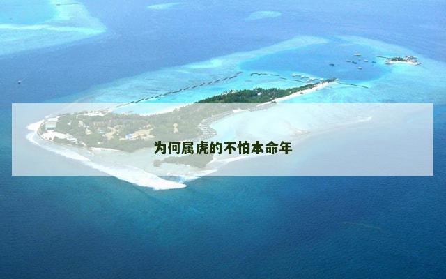 为何属虎的不怕本命年