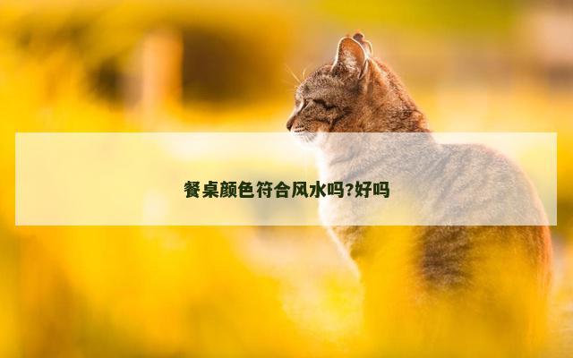 餐桌颜色符合风水吗?好吗