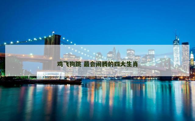 鸡飞狗跳 最会闹腾的四大生肖