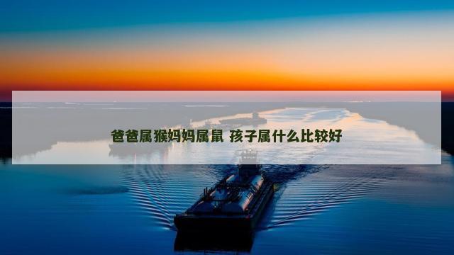 爸爸属猴妈妈属鼠 孩子属什么比较好