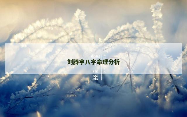 刘腾宇八字命理分析