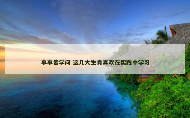 事事皆学问 这几大生肖喜欢在实践中学习