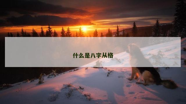 什么是八字从格
