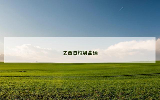 乙酉日柱男命运