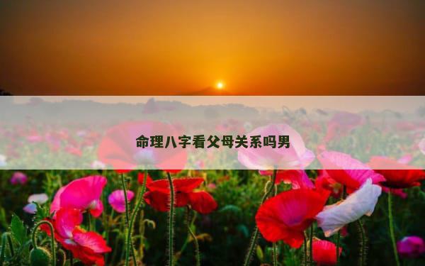 命理八字看父母关系吗男