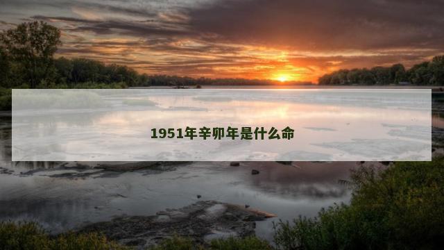 1951年辛卯年是什么命