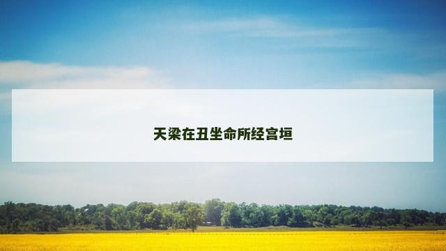 天梁在丑坐命所经宫垣