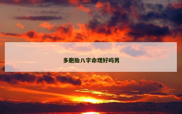 多胞胎八字命理好吗男