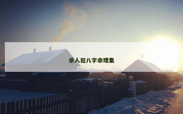 杀人犯八字命理集