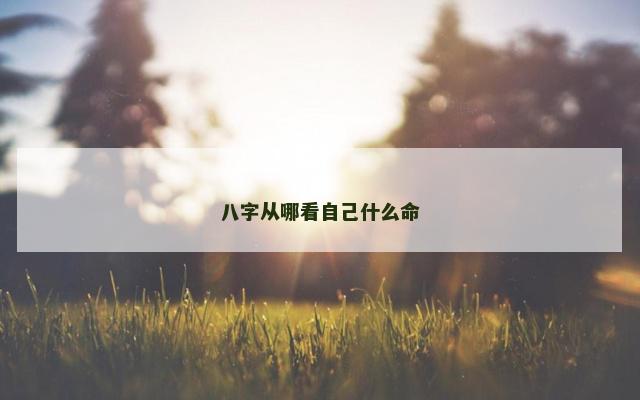八字从哪看自己什么命