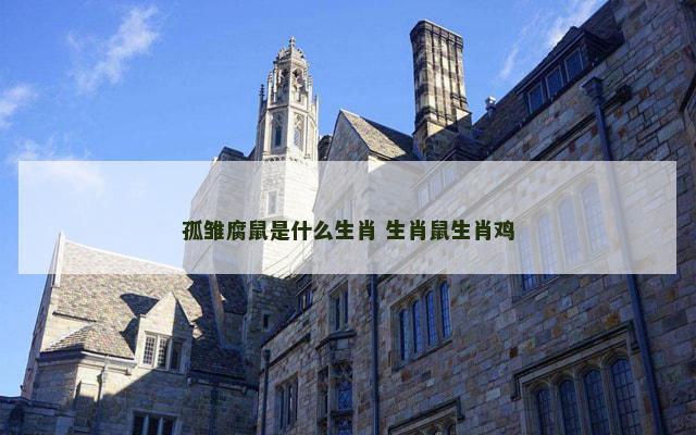 孤雏腐鼠是什么生肖 生肖鼠生肖鸡