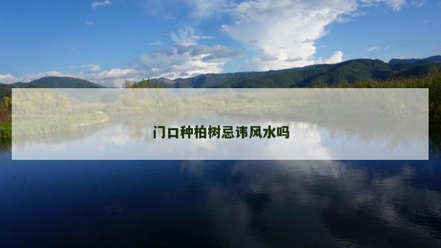 门口种柏树忌讳风水吗