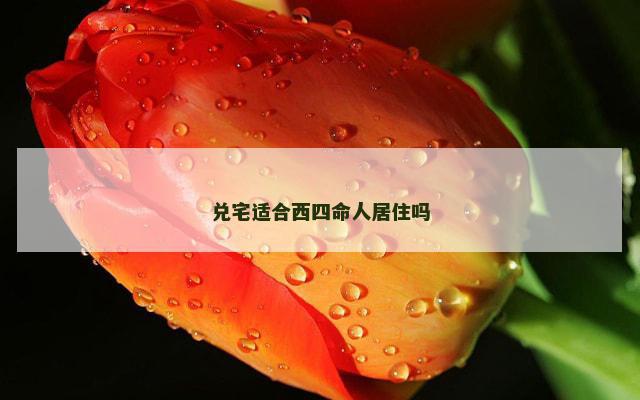 兑宅适合西四命人居住吗