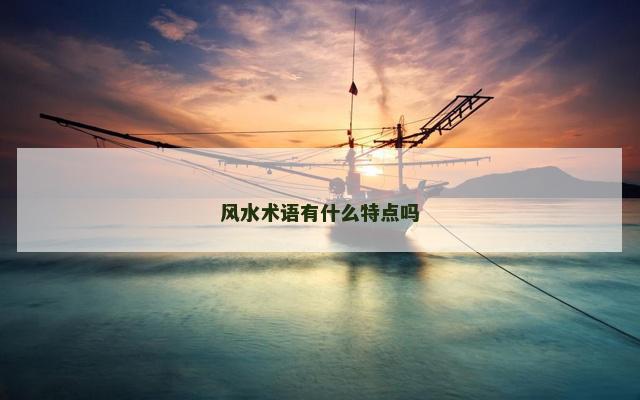 风水术语有什么特点吗