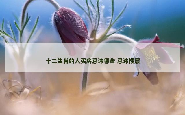十二生肖的人买房忌讳哪些 忌讳楼层