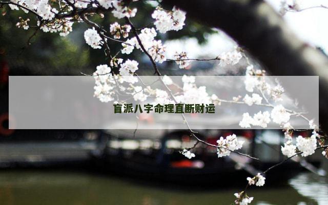 盲派八字命理直断财运