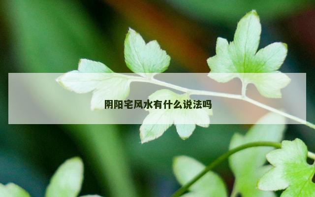 阴阳宅风水有什么说法吗