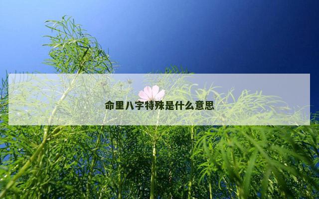 命里八字特殊是什么意思