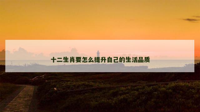 十二生肖要怎么提升自己的生活品质