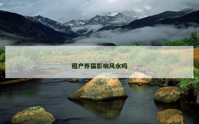 租户养猫影响风水吗