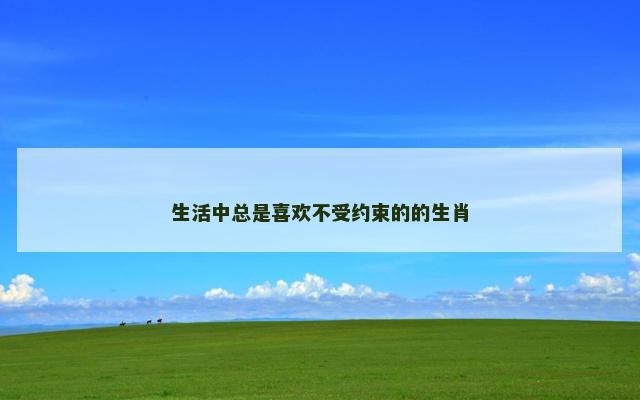 生活中总是喜欢不受约束的的生肖