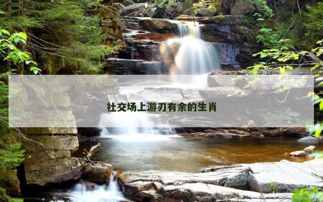 社交场上游刃有余的生肖