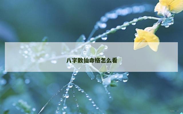 八字散仙命格怎么看