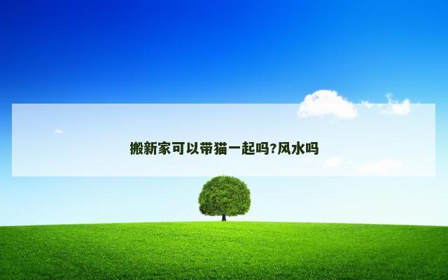 搬新家可以带猫一起吗?风水吗