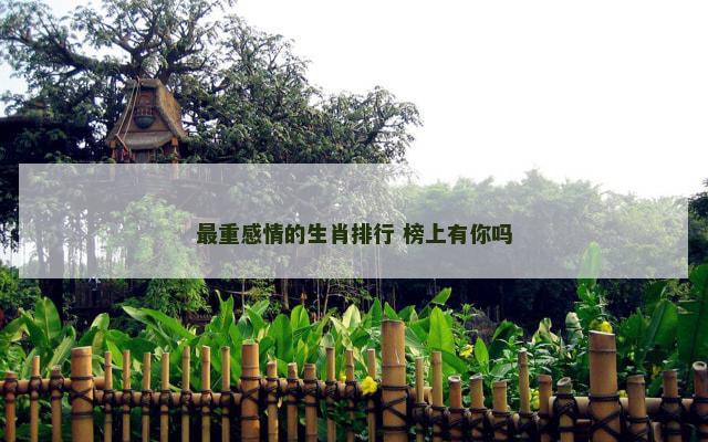 最重感情的生肖排行 榜上有你吗
