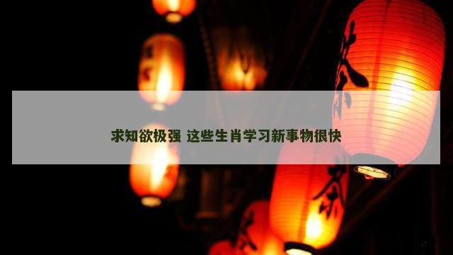 求知欲极强 这些生肖学习新事物很快