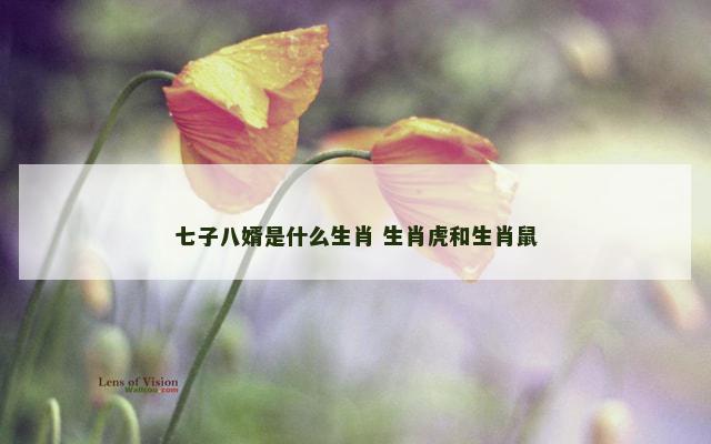 七子八婿是什么生肖 生肖虎和生肖鼠